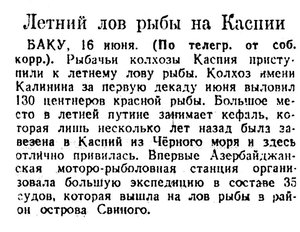  Известия 1943-141 (8134)_17.06.1943  ОХ-43 КАСПИЙ РЫБА.jpg