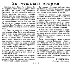  Известия 1952-302 (11065)_24.12.1952 ЗА ПУШНЫМ ЗВЕРЕМ.jpg