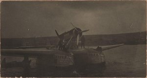  4050327-3.jpg
