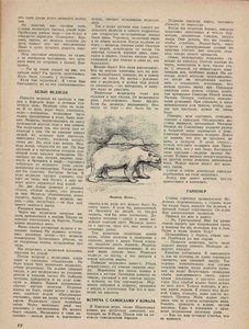  На суше и на море, 1929, № 6 (июнь)_14.jpeg