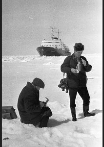  фотокоры.jpg