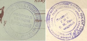  Микс.jpg