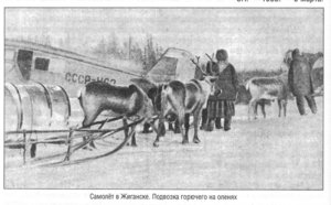  СССР-Н62 W33 1 л пр (7).jpg