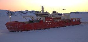  Нелла Дэн2-новый.jpg