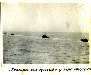  Тральщики1953-2.jpg