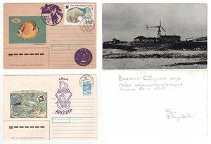  Микс для ПП.jpg