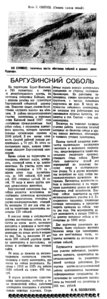  Бурят-Монгольская правда, 1937, №159, Сватош-Баргузинский соболь.jpg