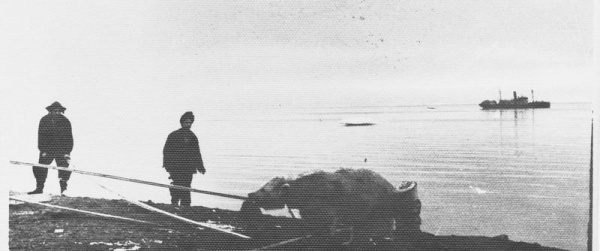 с бел.медведем.jpg