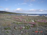 050727tiksi polyarka zaliv sogo1